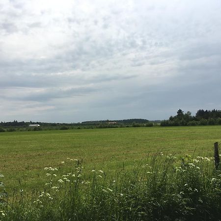 Skovhuset Villa Uggerby Eksteriør bilde