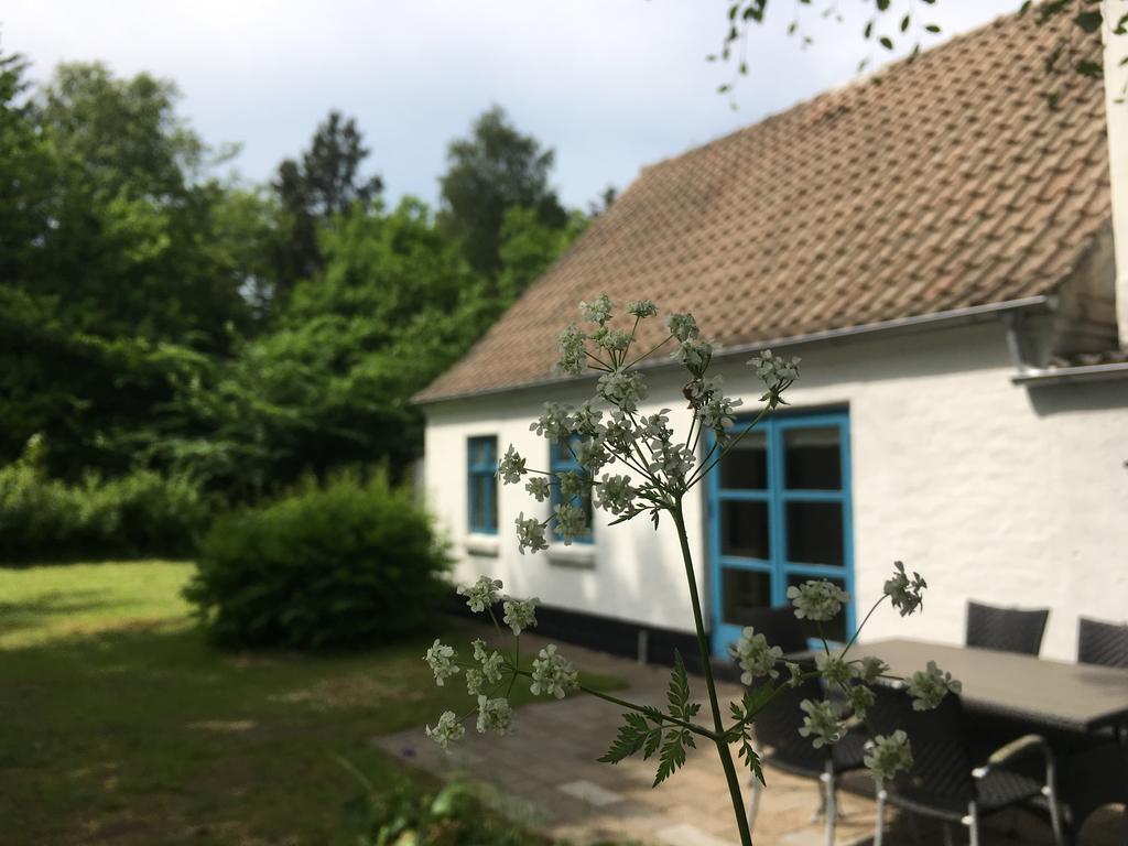 Skovhuset Villa Uggerby Eksteriør bilde
